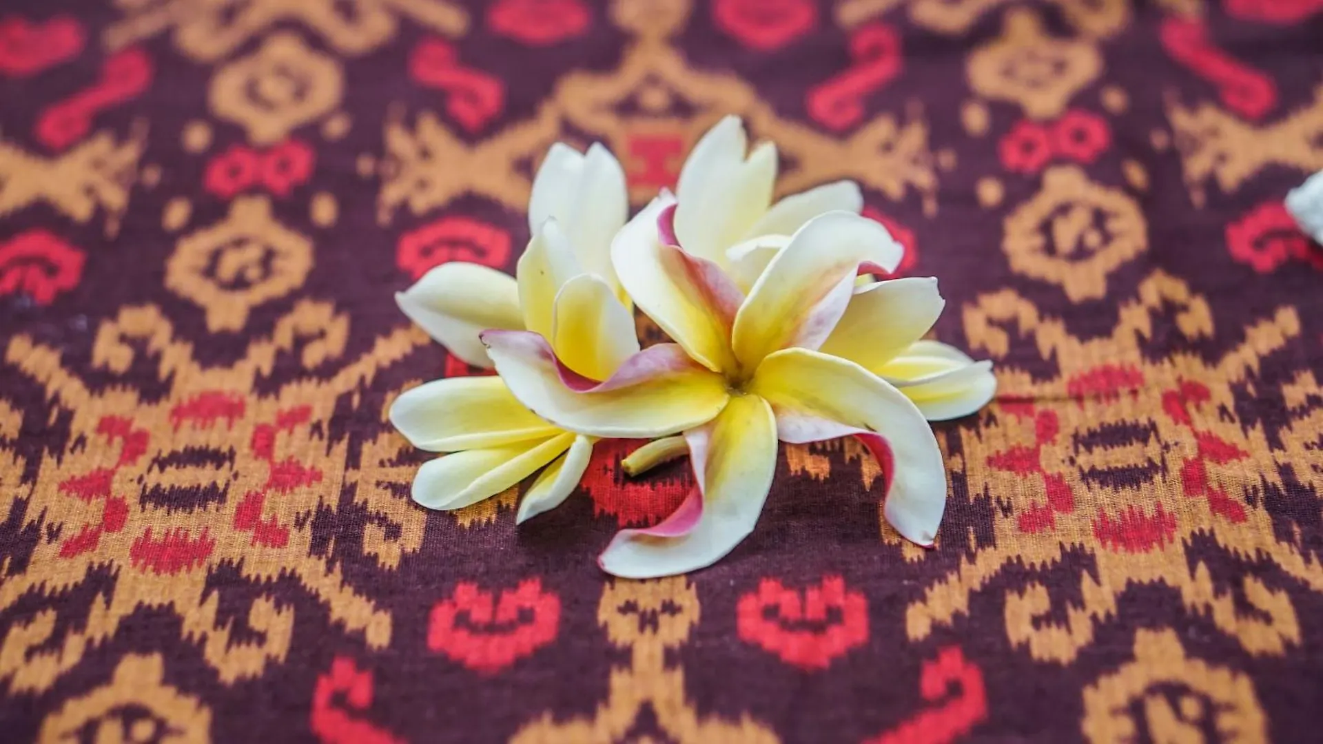 Homestay Kanaka House Ubud Indonesia
